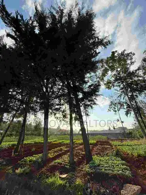 Residential Land for Sale in Loresho