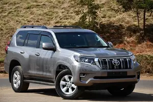 Toyota Land Cruiser Prado 2.8 TX 2019