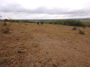 Eka 20 za Kilimo kwa Mauzo, Eneo la Nyumba Ndune Kilungu