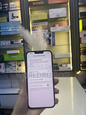 Apple iPhone 13 Pro Max 256GB Blue