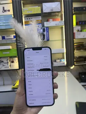 Apple iPhone 13 Pro Max 256GB Bluu
