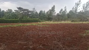 Eka 1 ya Ardhi Inauzwa Kikuyu Gikambura