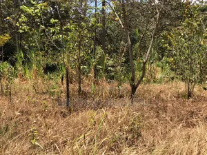 Eneo la 1/2 Eka Linauzwa, 100m kutoka Barabara Kuu