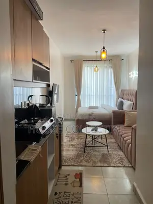 Airbnb Studio Apartment in Roysambu
