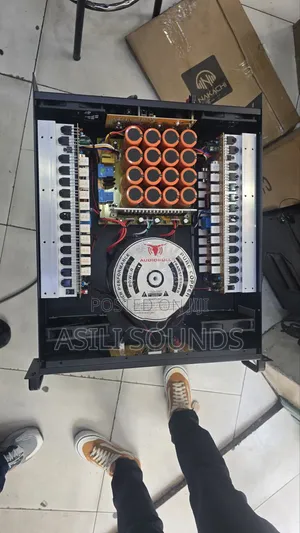 Amplifier Audio Bull