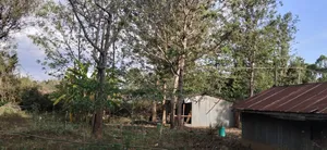 Prime 1/2 Acre Residential Land in Karen