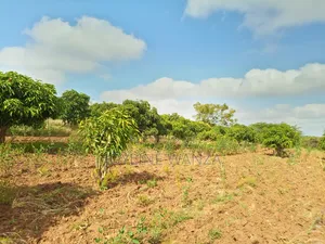 Eneo la Eka 15 Linauzwa Muthwani, Machakos