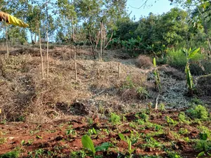 Viwanja Bora Makuyu Kamahuha Igikiro