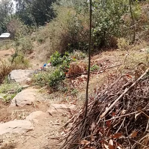 60x60 Plot for Sale in Mlolongo pH 3