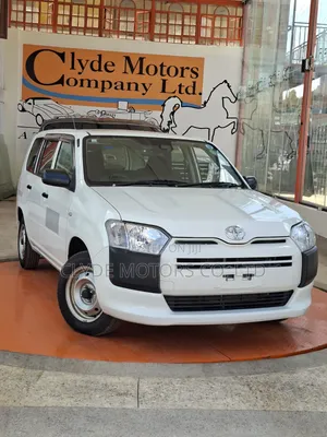 Toyota Probox 1.3 DX 2WD 2019 White