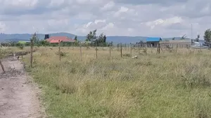 Prime 50x100 Plots for Sale in Joska, St. Monica Area