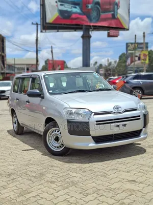 Toyota Probox 2019 Silver
