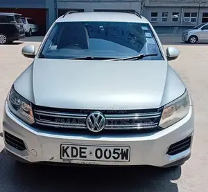 Volkswagen Tiguan 2015 Nyeupe