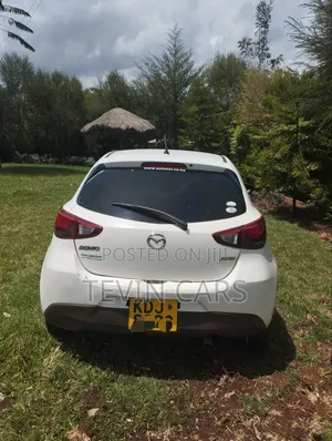 Mazda Demio 2015 Rangi ya Loti