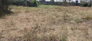 Two Plots for Sale in Ruai
