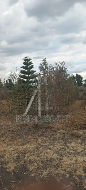 Kiwanja cha Makazi cha 50x100 Kitengela kwa Uuzaji