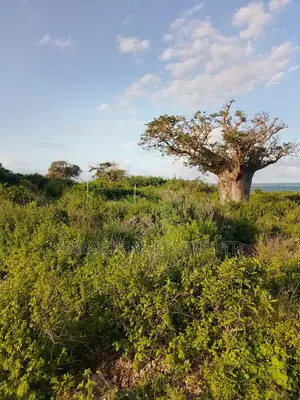 Half-Acre Beach Plot for Sale in Mayungu, Malindi