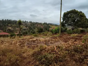 Half Acre Land for Sale, 1km from Quiver