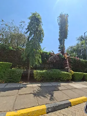 Maisonette ya Vyumba 4 vya Kulala Kupangishwa Muthaiga North