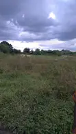 Land for Sale in Ugbolu, Oshimili North, Delta State - 1
