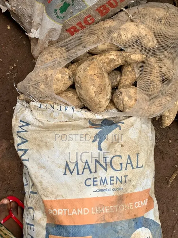 Rice, Potato, Yam, Red Oil, Crayfish, Stockfish, Dry Fish - 1