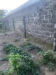 1 Plot Fenced Gated Dry Land for Sale, Choba Port Harcourt - 3