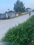 1 Plot Fenced Gated Dry Land for Sale, Choba Port Harcourt - 4