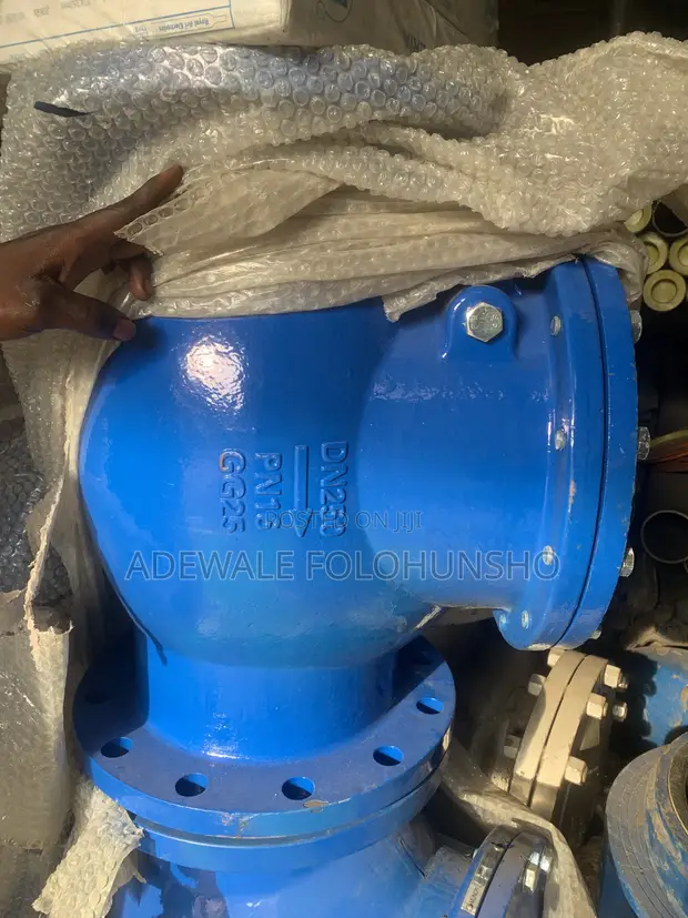 Master Cast Iron Non-Return Valve (250mm) - 1