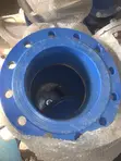 Master Cast Iron Non-Return Valve (250mm) - 4