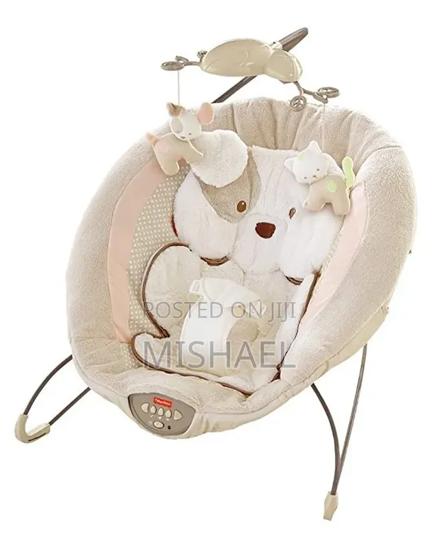 Fisher-Price Deluxe Snuggle Bear Baby Bouncer - 1