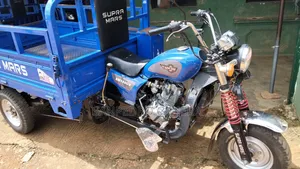 Used Tricycle - 2025 Model