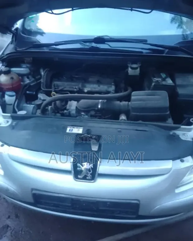 Peugeot 307 2014 Silver - 1