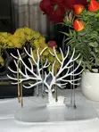 Jewelry Accessories Set - Brand New - 5