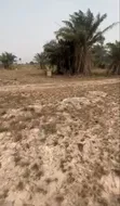 Residential Land for Sale in Ibeju Lekki, Lagos - 3