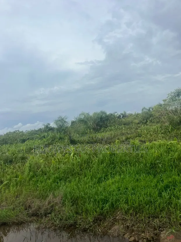 50 Plots Available at Coastal Road, Ibeju Lekki - 1