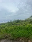 50 Plots Available at Coastal Road, Ibeju Lekki - 1
