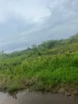 50 Plots Available at Coastal Road, Ibeju Lekki - 2