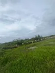 50 Plots Available at Coastal Road, Ibeju Lekki - 3