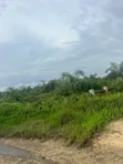50 Plots Available at Coastal Road, Ibeju Lekki - 4