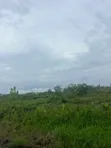 50 Plots Available at Coastal Road, Ibeju Lekki - 5
