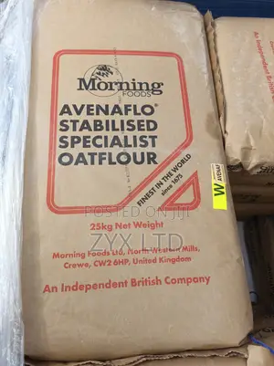 Morning Foods Oat Flour