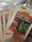 African Giant Cucumber Seeds - 50g - 1