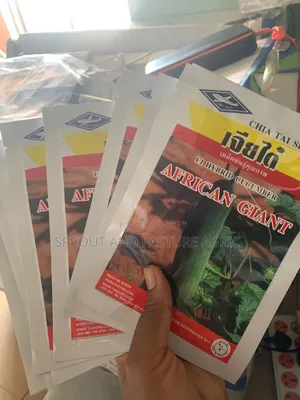 African Giant Cucumber Seeds - 50g