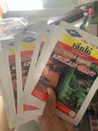 African Giant Cucumber Seeds - 50g - 2