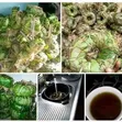 Infection Removal Tea & Yoni Detox Pearls - 4