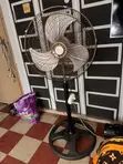 Qlink Pedestal Fan - Used - 2