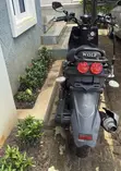 Jinan Qingqi Wolf Rugby 2023 Scooter - 1