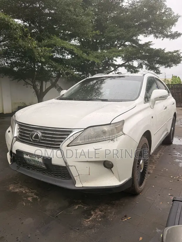 Lexus RX 350 2010 White - 1