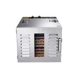 10-Tray Industrial Food Dehydrator - 1