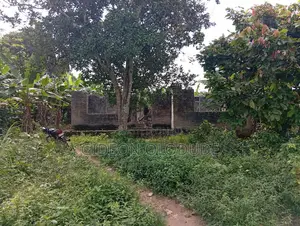 Uncompleted 8-Room Face-Me-Face-You Building on 5000sqm Land for Sale